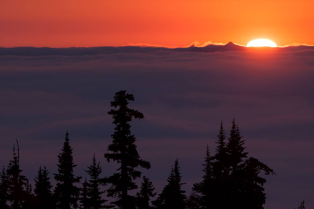 09-21 - 11.jpg - Hurricane Ridge, Olympic National Park, WA